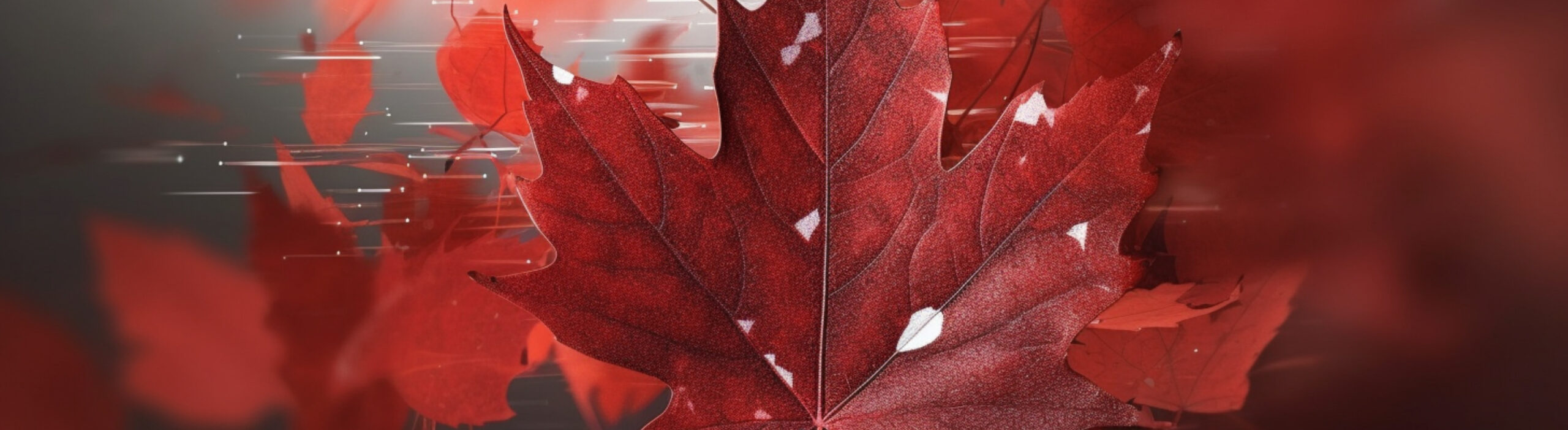Red Leaf Wellness Loyalty Program