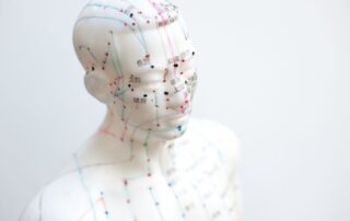 White acupuncture model showing marked points and lines on the head and upper body.