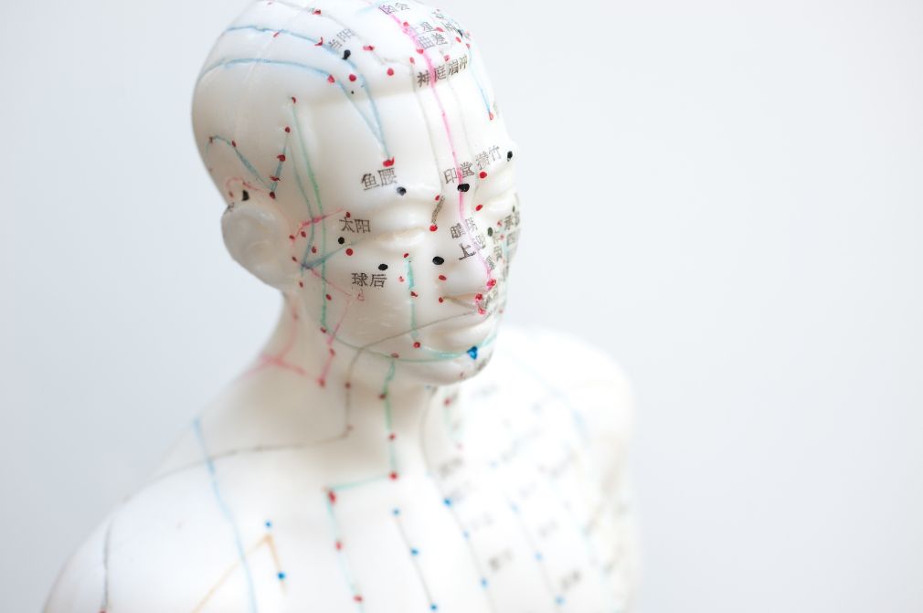 White acupuncture model showing marked points and lines on the head and upper body.