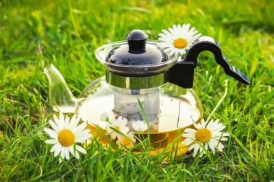 photo - chamomile tea for bloating