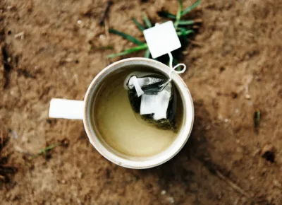 photo - a cup of fennel tea