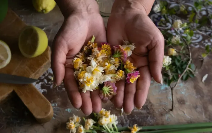 a naturopathic doctor edmonton holding up healing flowersheal