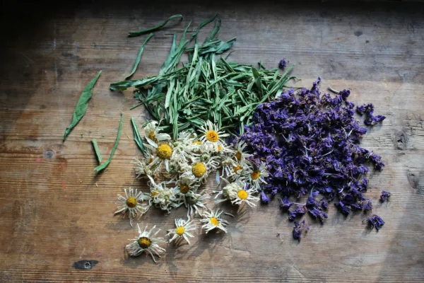 medicinal crops on a wooden table