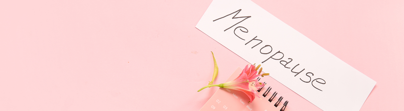 Menopause & Perimenopause Care in Edmonton – ND-Led, Virtual Across Canada bhrt edmonton