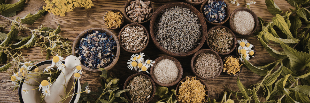 Assortment of dried Chinese medicinal herbs in wooden bowls used in Traditional Chinese Medicine at Red Leaf Wellness Edmonton